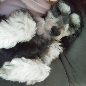 Meet your Posher, Diane